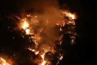 Officials from the Angeles National Forest in Southern California shared this image of the Bobcat Fire near the Mount Wilson Observatory in a Thursday (Sept. 17) tweet.