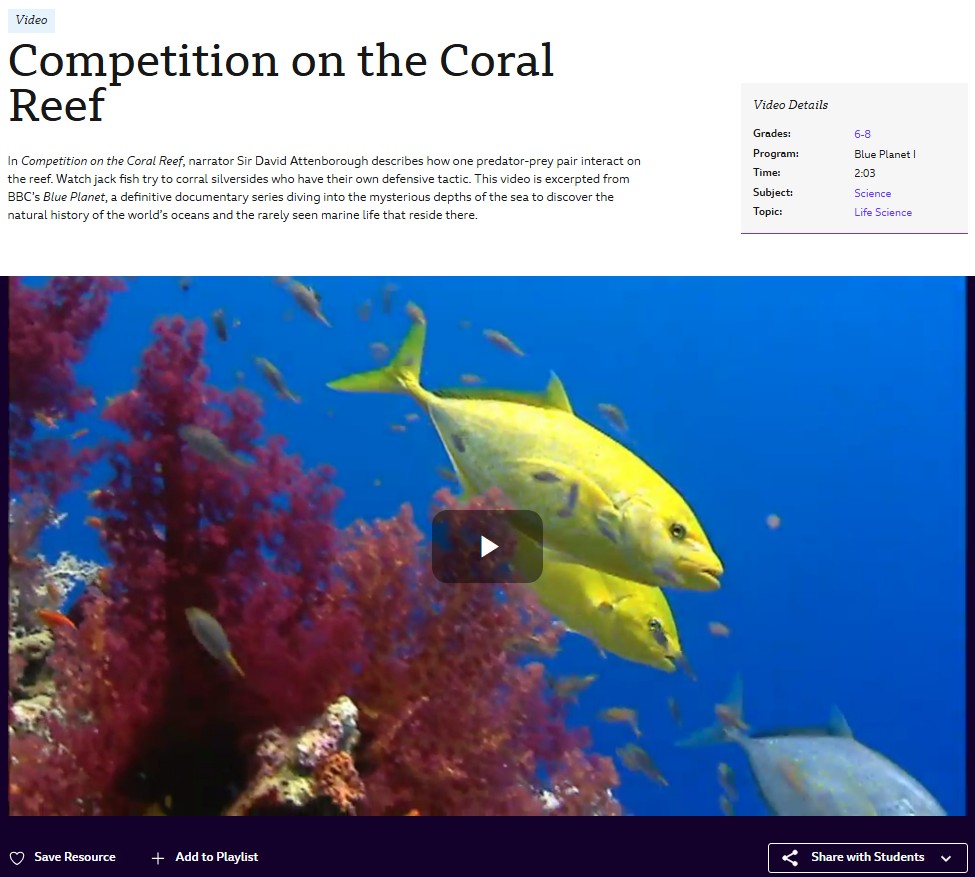 Coral Reef video still