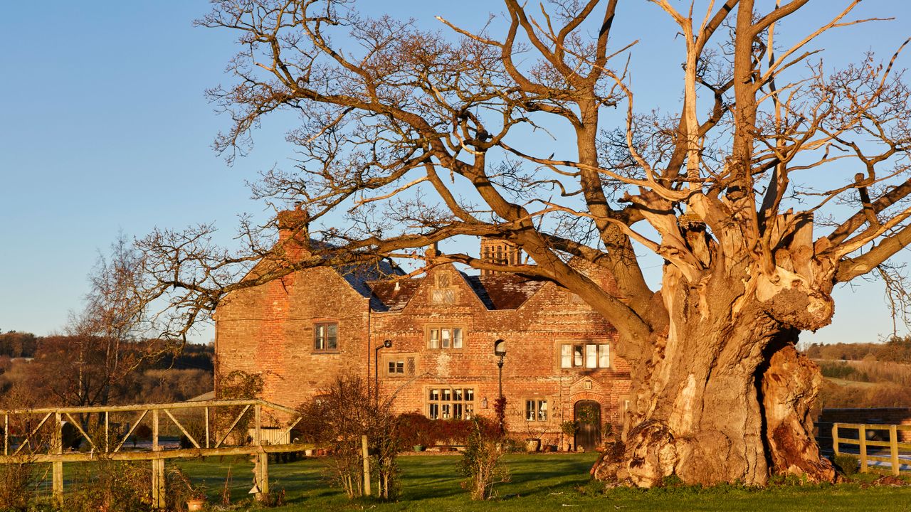 exterior of a historic home in winter with an ancient oak tree in the foreground