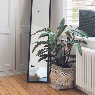 standing mirror on wooden floor beside pale grey built in wardrobe and window with venetian blinds pub orig renovated four bedroom edwardian semi detached house