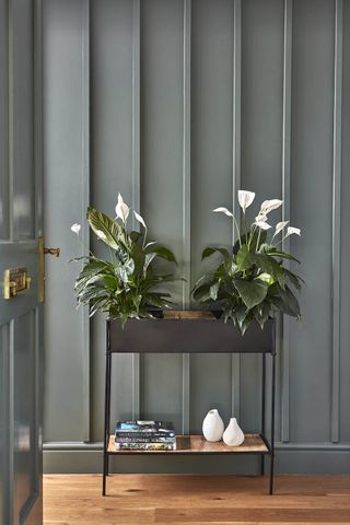 Indoor Kensington plant stand from Lime Lace