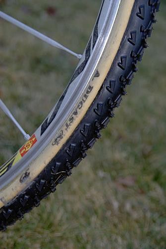 The venerable Dugast Rhino tire is reliably glued to Summerhill's rims.