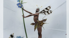 tim walker