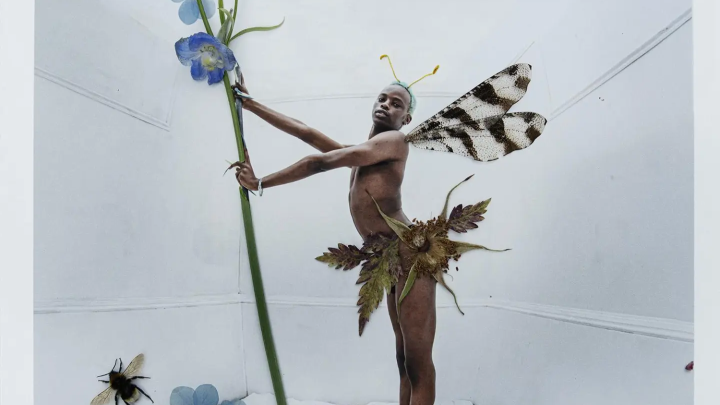tim walker
