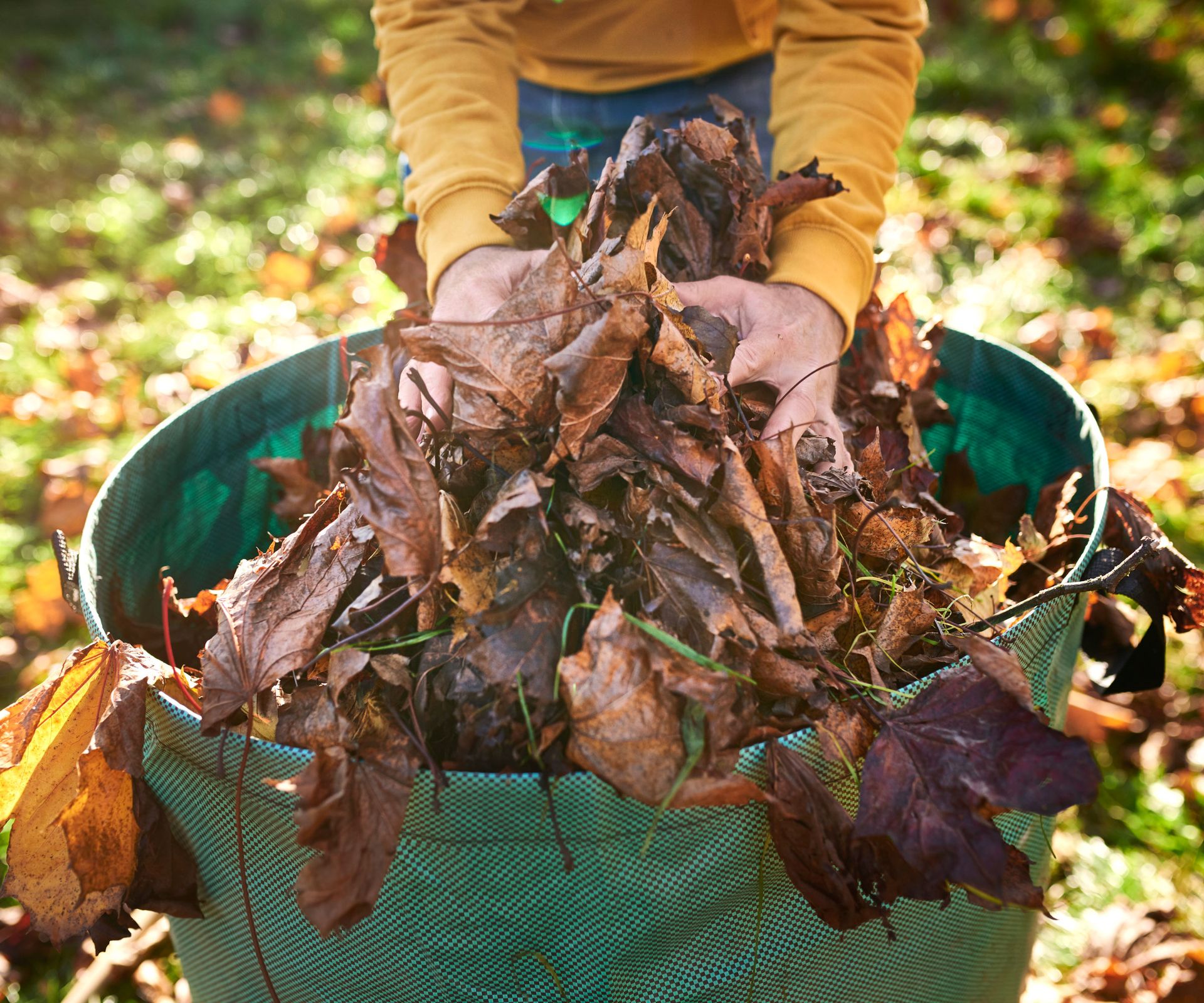 hands holding leaves in green pop-up refuse bag