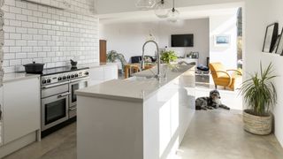 white gloss kitchen with range cooker and dog