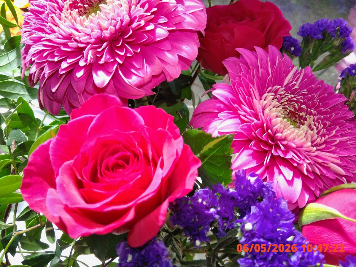 Close-up of a vibrant floral bouquet featuring pink roses, purple statice, and large pink chrysanthemums with green leaves
