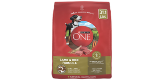 Purina ONE dry dog food