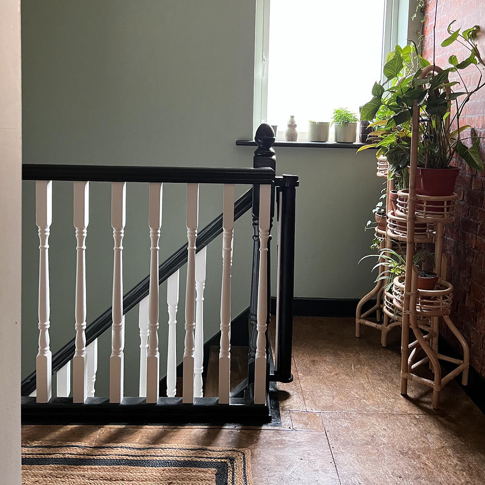 hallway with white wall and plants