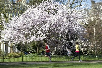 Joggers running in London