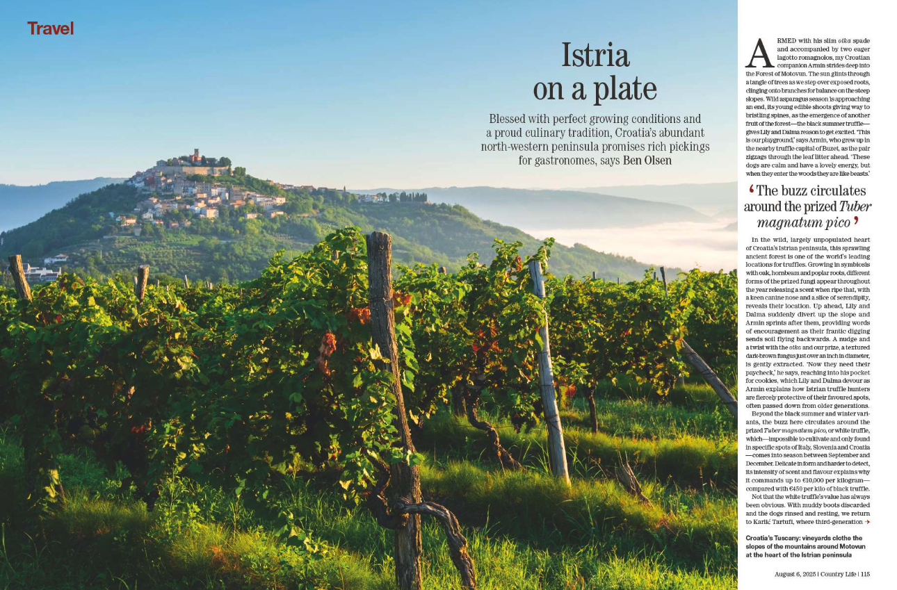 Spreads of the Aug 6 issue of Country Life
