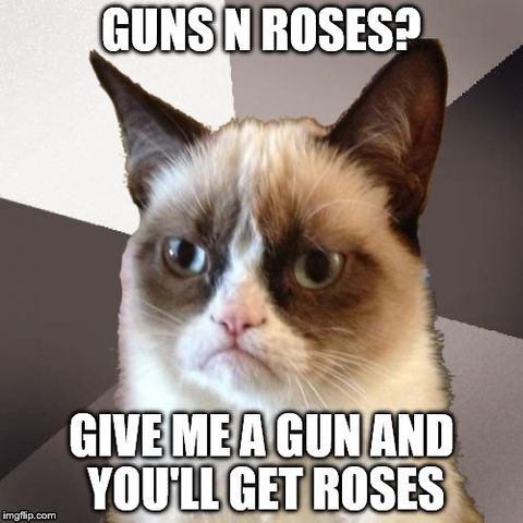 The 10 best Guns N' Roses memes Louder