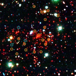 Most Massive Galaxy Cluster of Early Universe Discovered