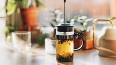 Green tea with fresh mint leaves brewed in a French press on a white table by the window