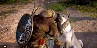 Assassin's Creed Valhalla Eivor and dog