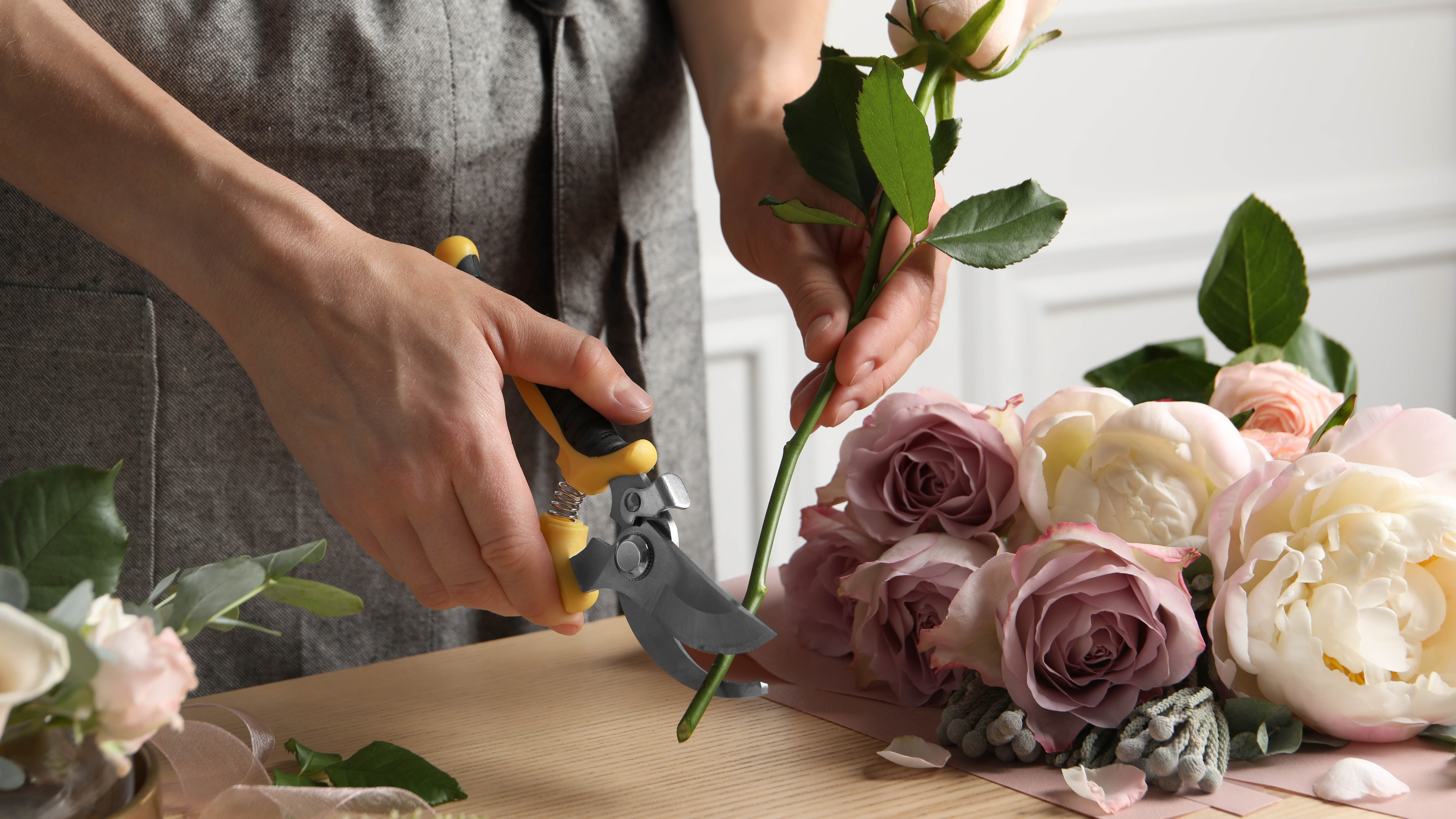 A rose trimmed with pruning shears on the counter next to a bouquet of roses