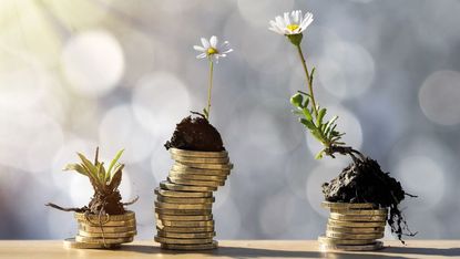 Stacks of coins with daisies on top