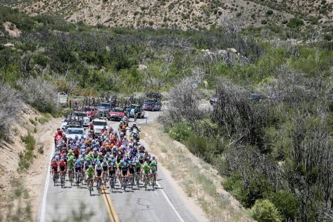 The peloton all together