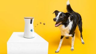 Furbo Dog Camera and Treat Dispenser