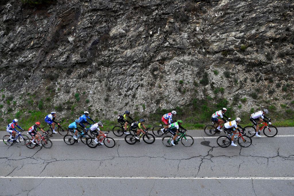 PUEBLA DE SANABRIA SPAIN NOVEMBER 05 Luis Leon Sanchez Gil of Spain and Astana Pro Team Guillaume Martin of France and Team Cofidis Solutions Credits Polka Dot Mountain Jersey Nicholas Schultz of Australia and Team Mitchelton Scott Robert Power of Australia and Team Sunweb Alex Aranburu Deba of Spain and Astana Pro Team Julien Simon of France and Team Total Direct Energie Robert Stannard of Australia and Team Mitchelton Scott Jose Joaquin Rojas Gil of Spain and Movistar Team Mark Donovan of The United Kingdom and Team Sunweb Rui Alberto Faria Da Costa of Portugal and UAE Team Emirates Jonathan Lastra Martinez of Spain and Team Caja RuralSeguros RGA Breakaway Peloton during the 75th Tour of Spain 2020 Stage 15 a 2308km stage from Mos to Puebla de Sanabria 924m lavuelta LaVuelta20 La Vuelta on November 05 2020 in Puebla de Sanabria Spain Photo by Justin SetterfieldGetty Images