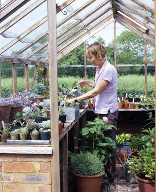 Woman tending flowers in an old greenhouse