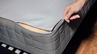 A person unzips the cover of a mattress to check for fiberglass