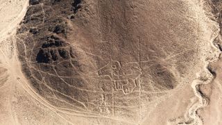 Aerial photo of Nazca lines in Peru. This geoglyph looks like a line drawing of a macaw (bird).