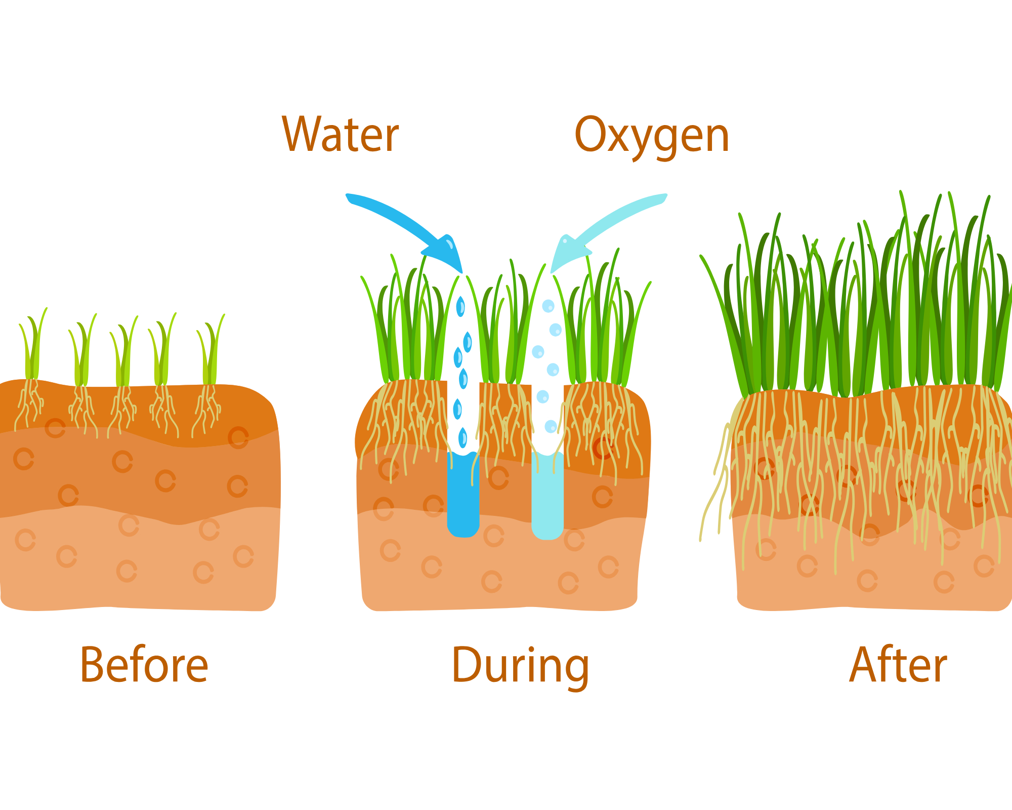 diagram showing the benefits of lawn aeration