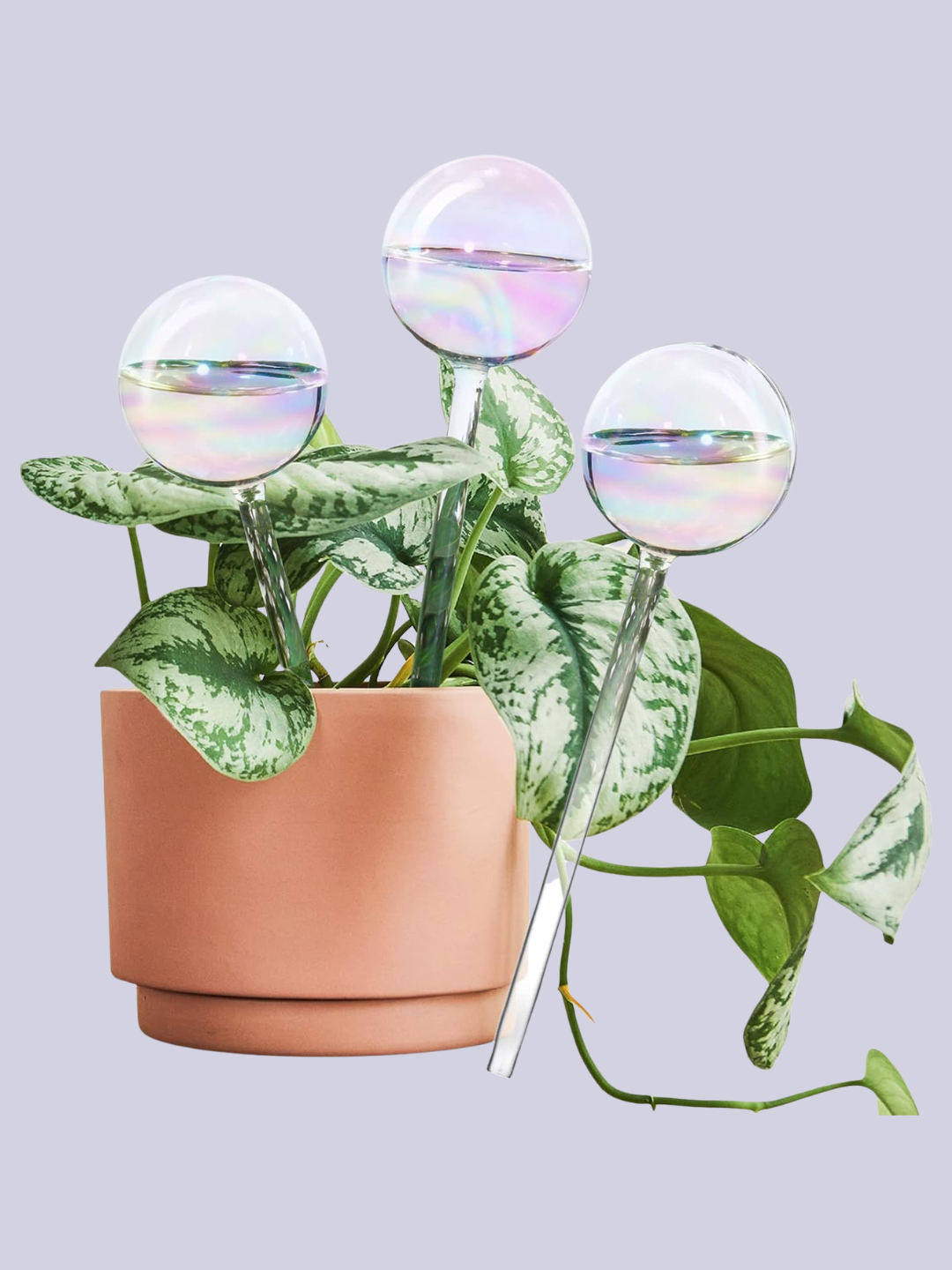A set of iridescent glass watering globes from Amazon