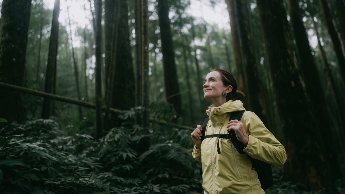 Female hiker in forest