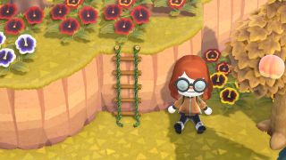 Animal Crossing New Horizons ladder set-up kit guide