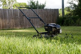 A freshly cut green lawn with a lawn mower in the middle