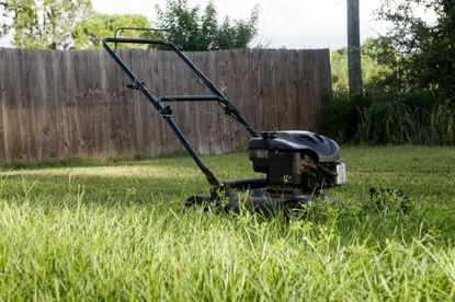 A freshly cut green lawn with flowers around its landscape 