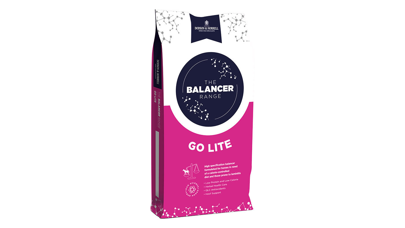 Dodson &amp;amp; Horrell Go Lite balancer