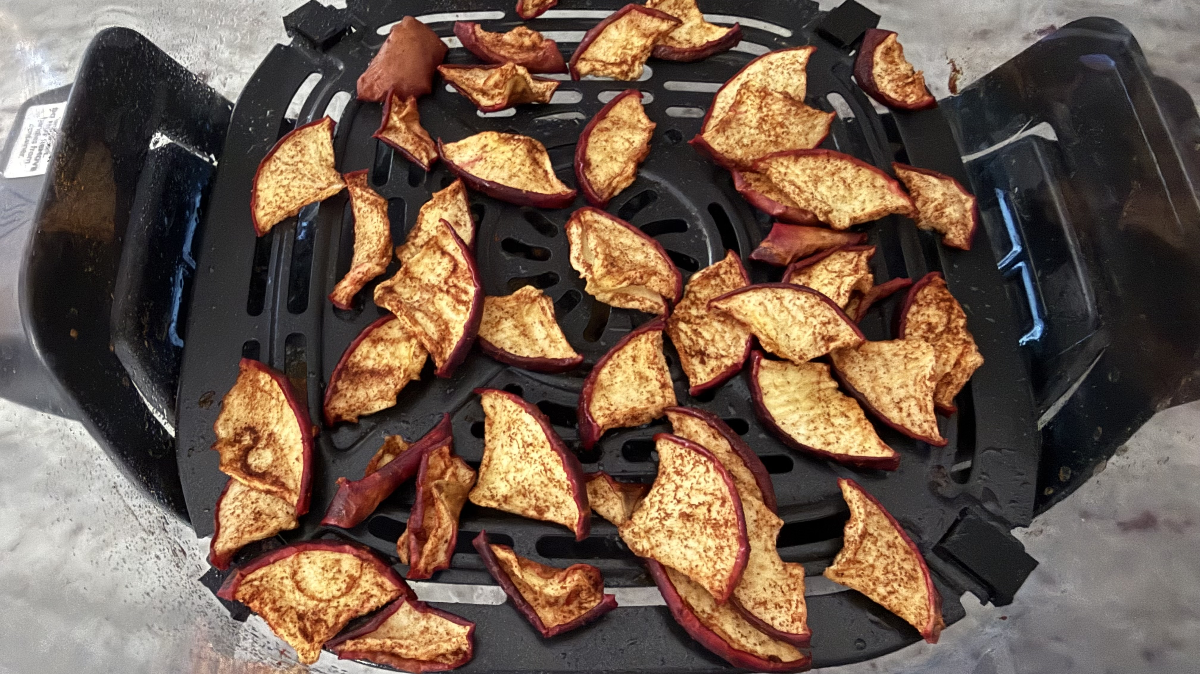 Ninja Crispi Pro 6-in-1 Countertop Glass Air Fryer apple chips made in Dehydrate mode