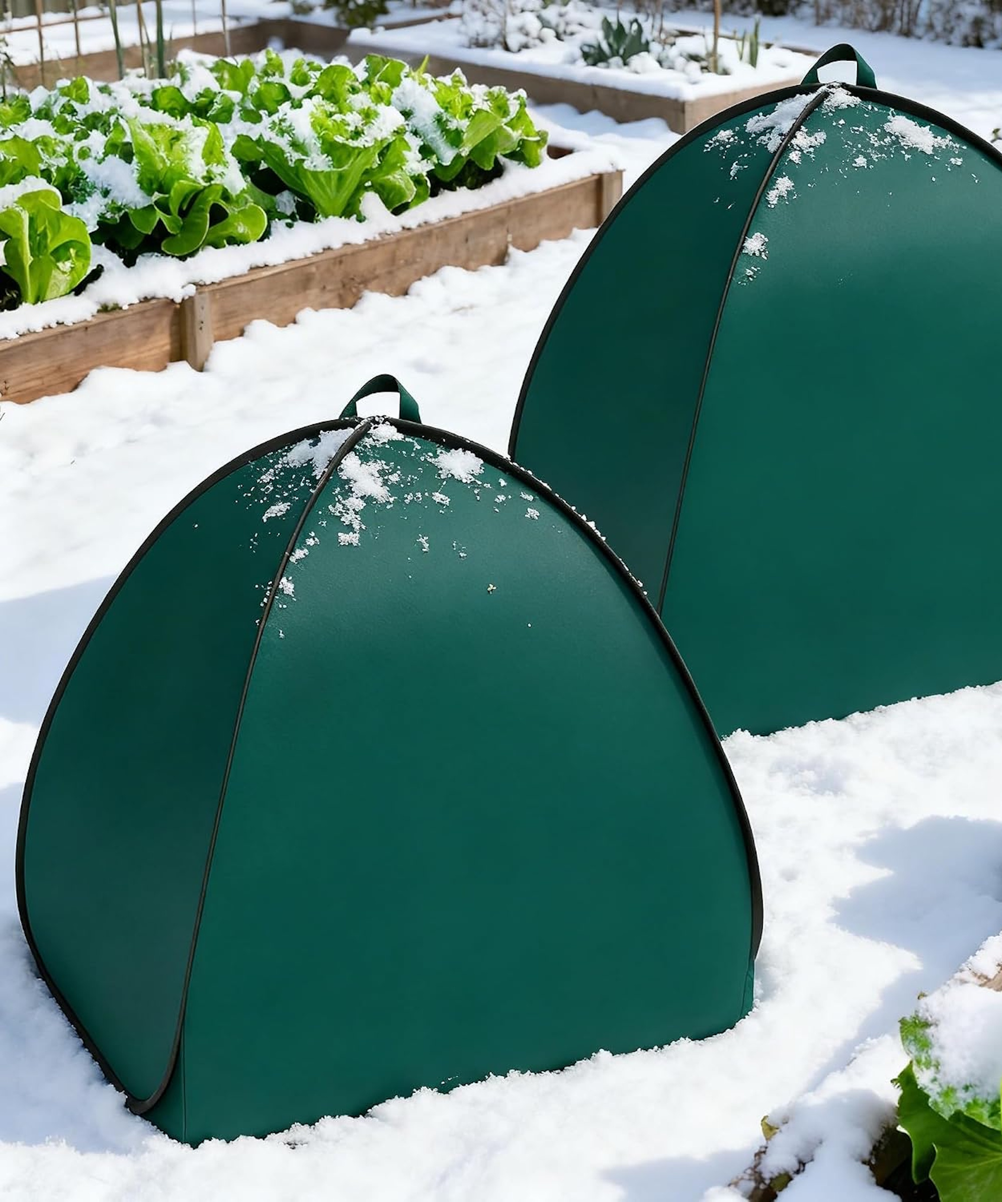 Amazon frost protection plant tents