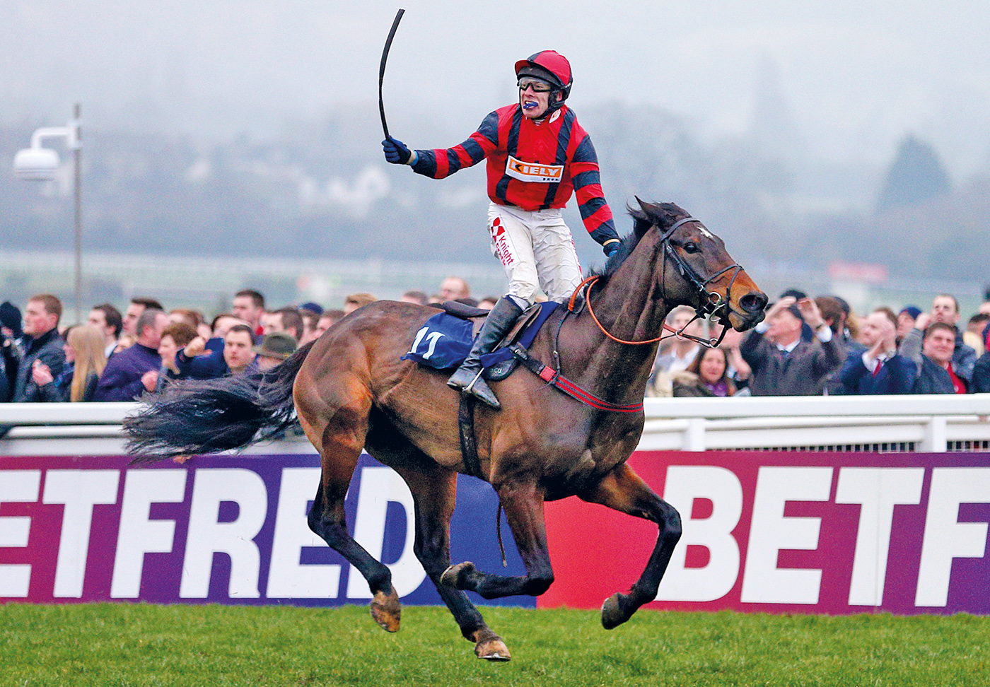 Next Sensation ridden by jockey Tom Scudamore celebrates after winning the A.P. McCoy Grand Annual Handicap Chase on Gold Cup Day during the Cheltenham Festival at Cheltenham Racecourse. PRESS ASSOCIATION Photo. Picture date: Friday March 13, 2015. See PA story RACING Cheltenham. Picture credit should read: David Davies/PA Wire. RESTRICTIONS: Editorial Use only, commercial use is subject to prior permission from The Jockey Club/Cheltenham Racecourse. Call +44 (0)1158 447447 for further information.