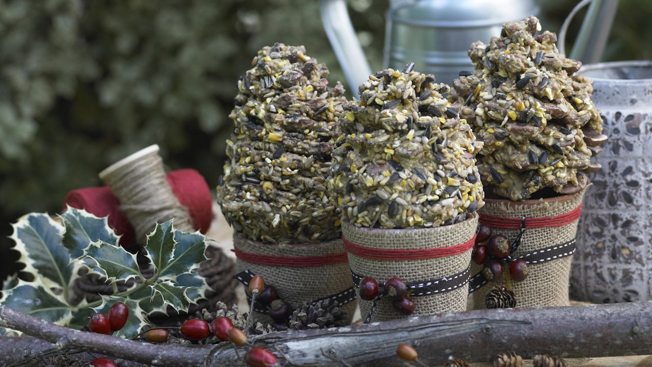 How to make bird feeders: pine cone feeders