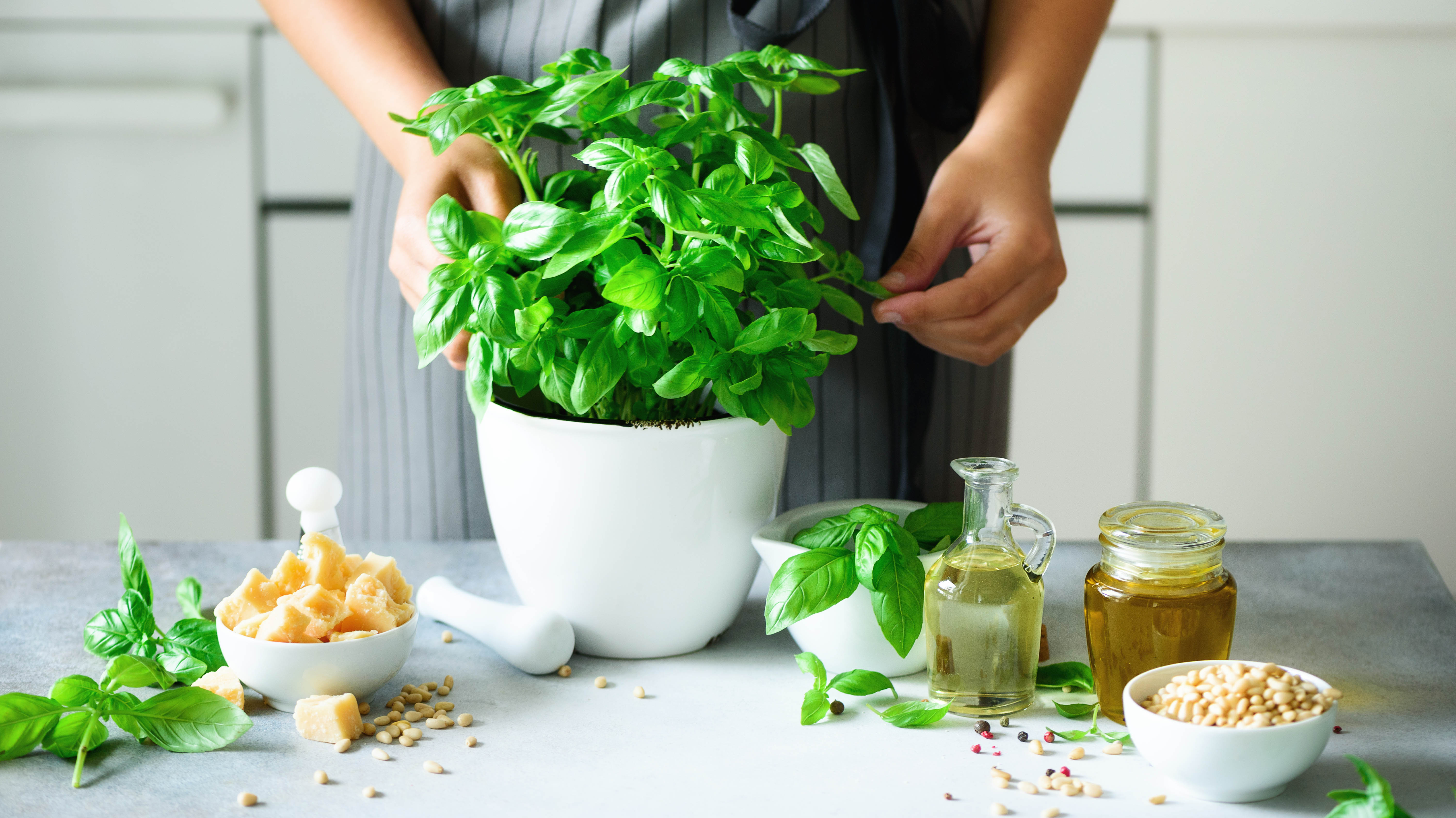 Basil plant on a table surrounded by cooking ingredients