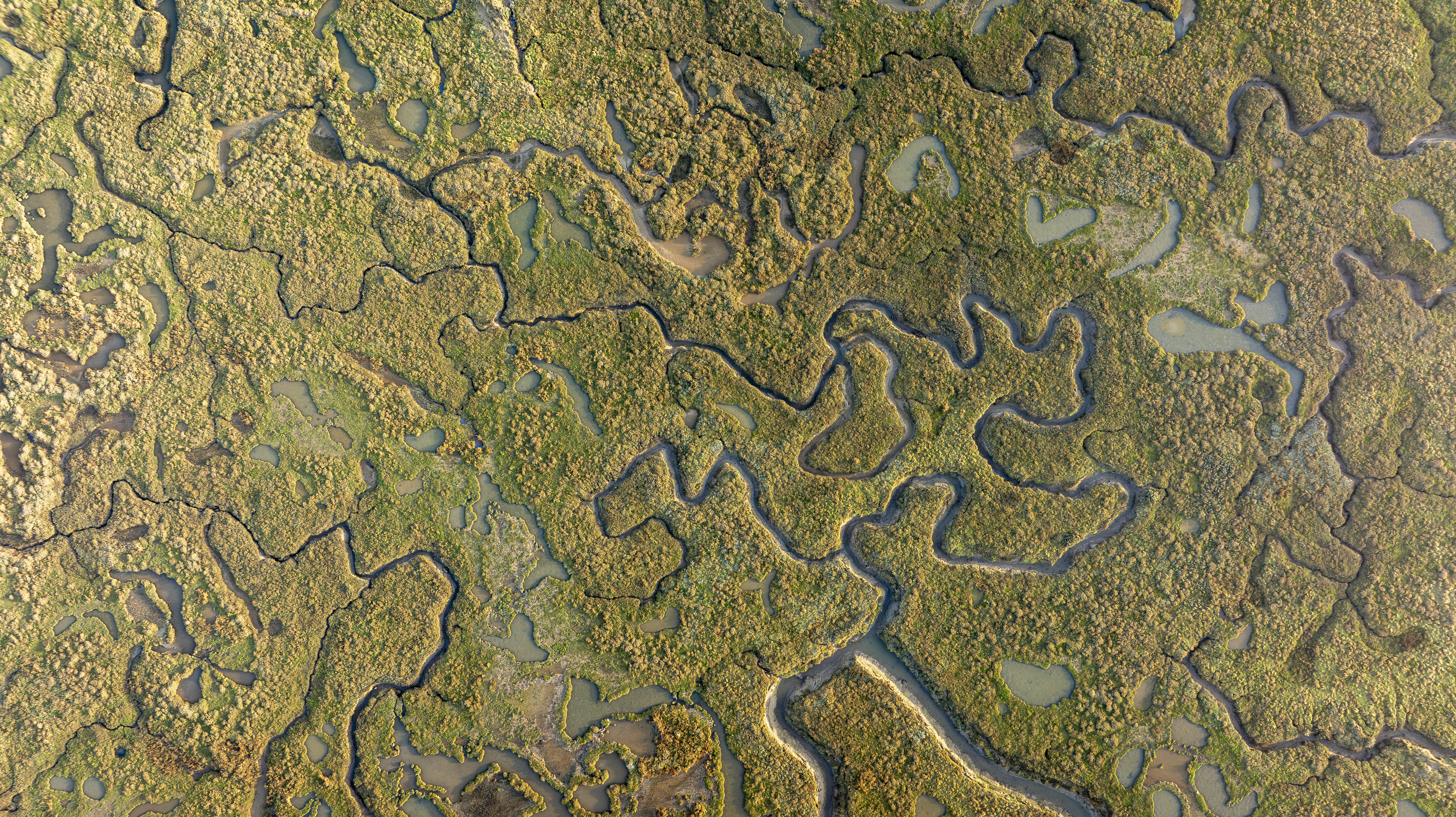 Drone shout of Stiffkey Marshes as the tide comes in. There are some hearts
