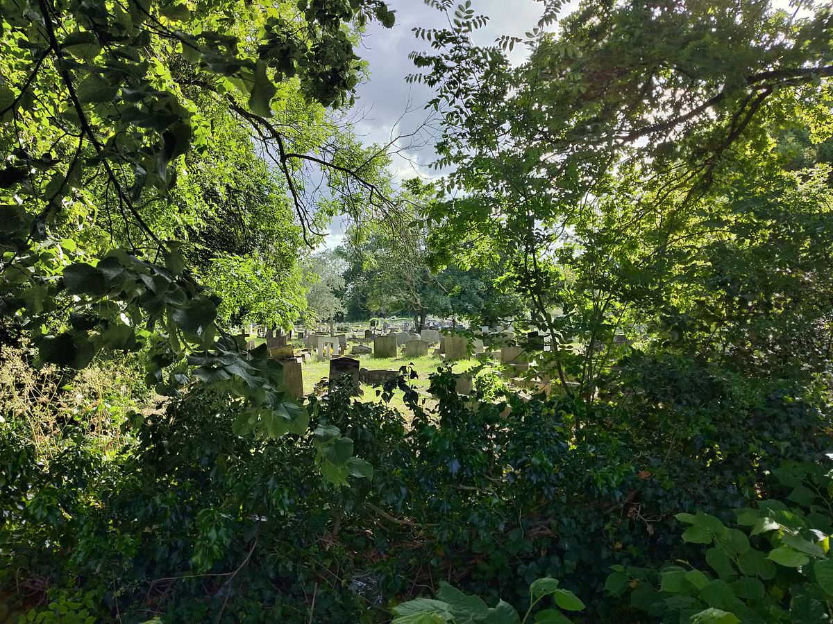 HDR is slightly less intense than Huawei&rsquo;s, but the results look fairly natural as a result. Image credit: TechRadar