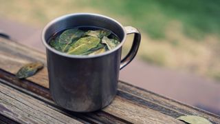 Coca tea, Bolivia