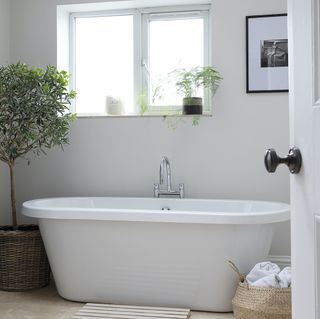White freestanding bathtub with chrome taps and a house plant in a woven basket
