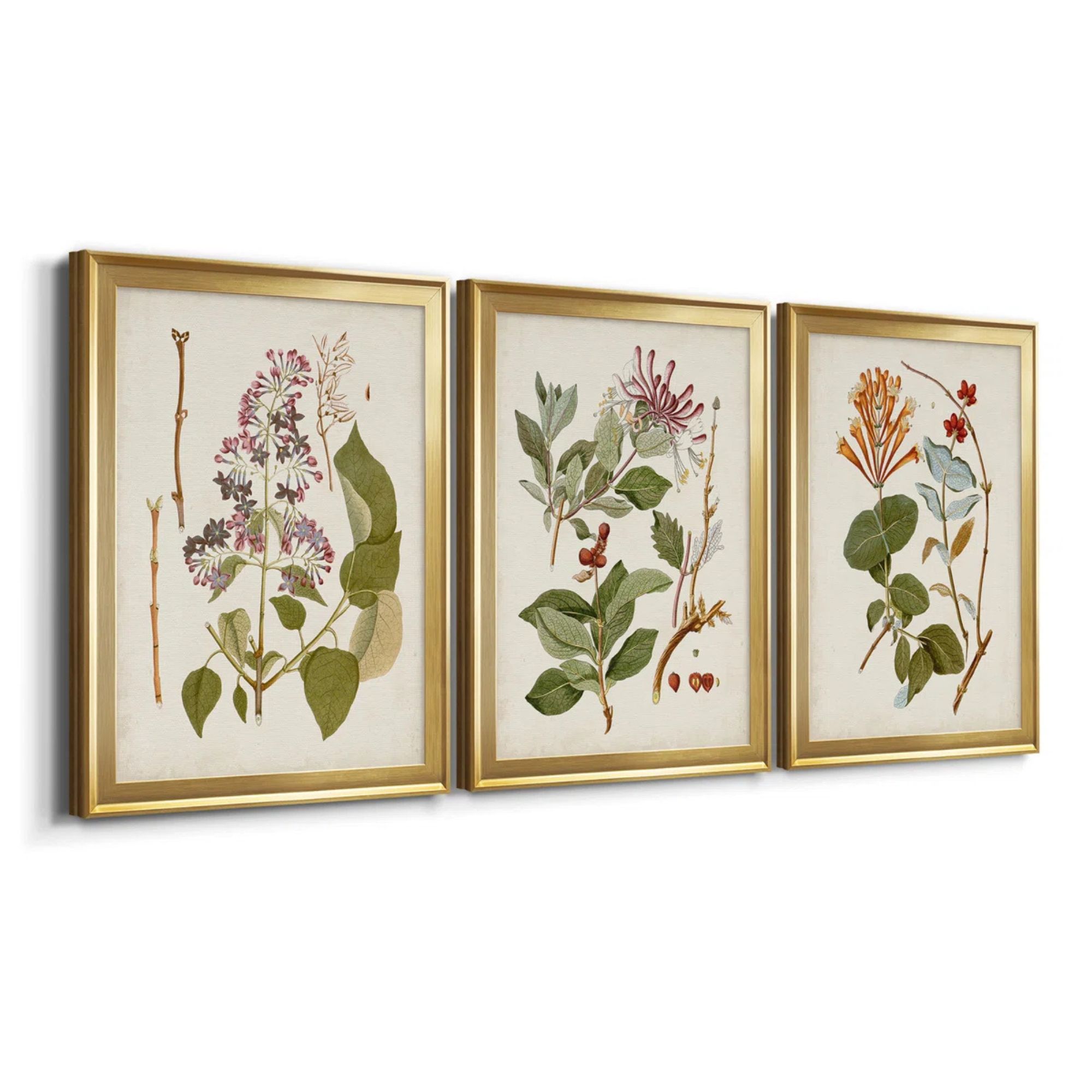 &quot; Vintage Flowering Trees II &quot; 3 - Pieces