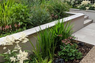 Kirman Design - garden border ideas