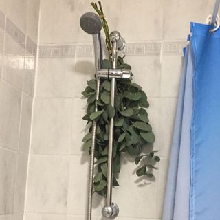 bathroom with showroom with leaves