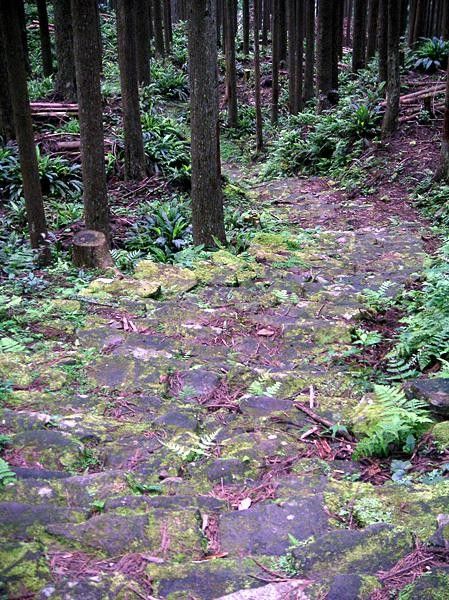 &hellip;the rest of it was more like this, and this was a relatively tame section.