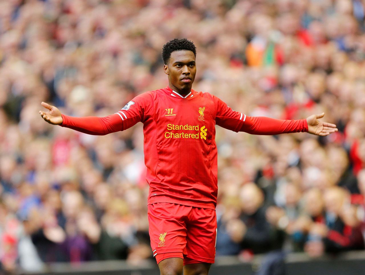 Daniel Sturridge celebrates after scoring for Liverpool against West Brom, October 2013