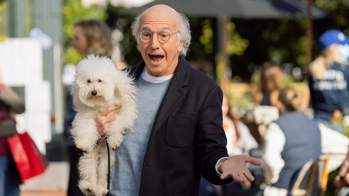 Curb Your Enthusiasm Larry David