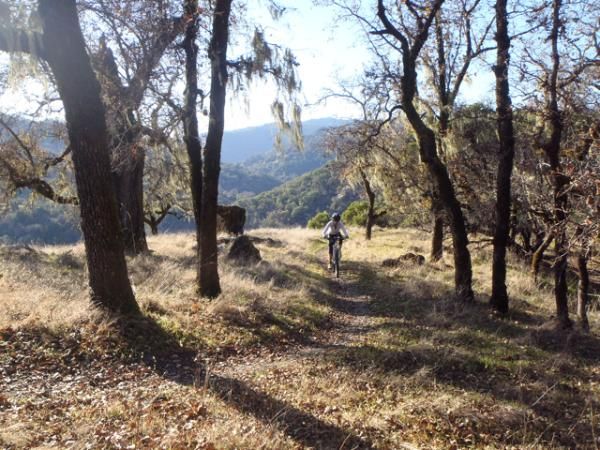 Mary McConneloug rides the sweet Lake Sonoma trails